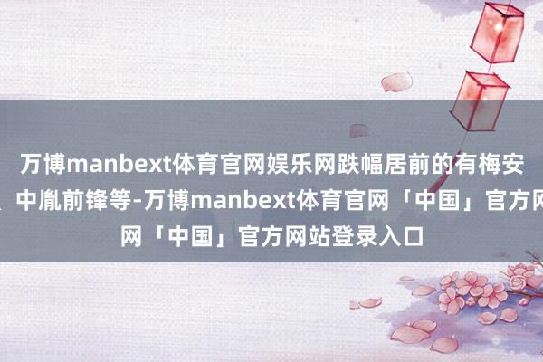 万博manbext体育官网娱乐网跌幅居前的有梅安森、想泰克、中胤前锋等-万博manbext体育官网「中国」官方网站登录入口