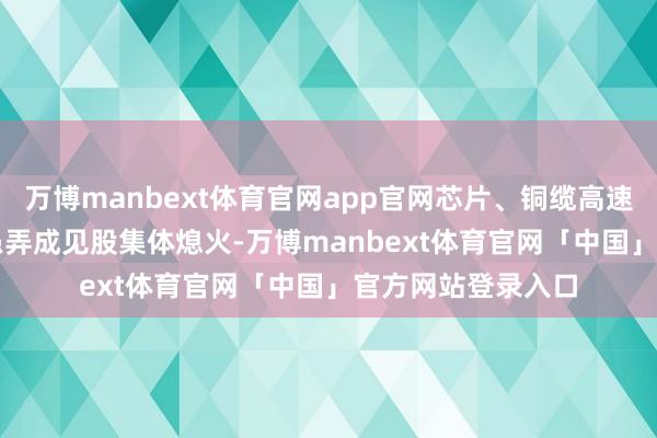 万博manbext体育官网app官网芯片、铜缆高速集结、CPO、AI愚弄成见股集体熄火-万博manbext体育官网「中国」官方网站登录入口